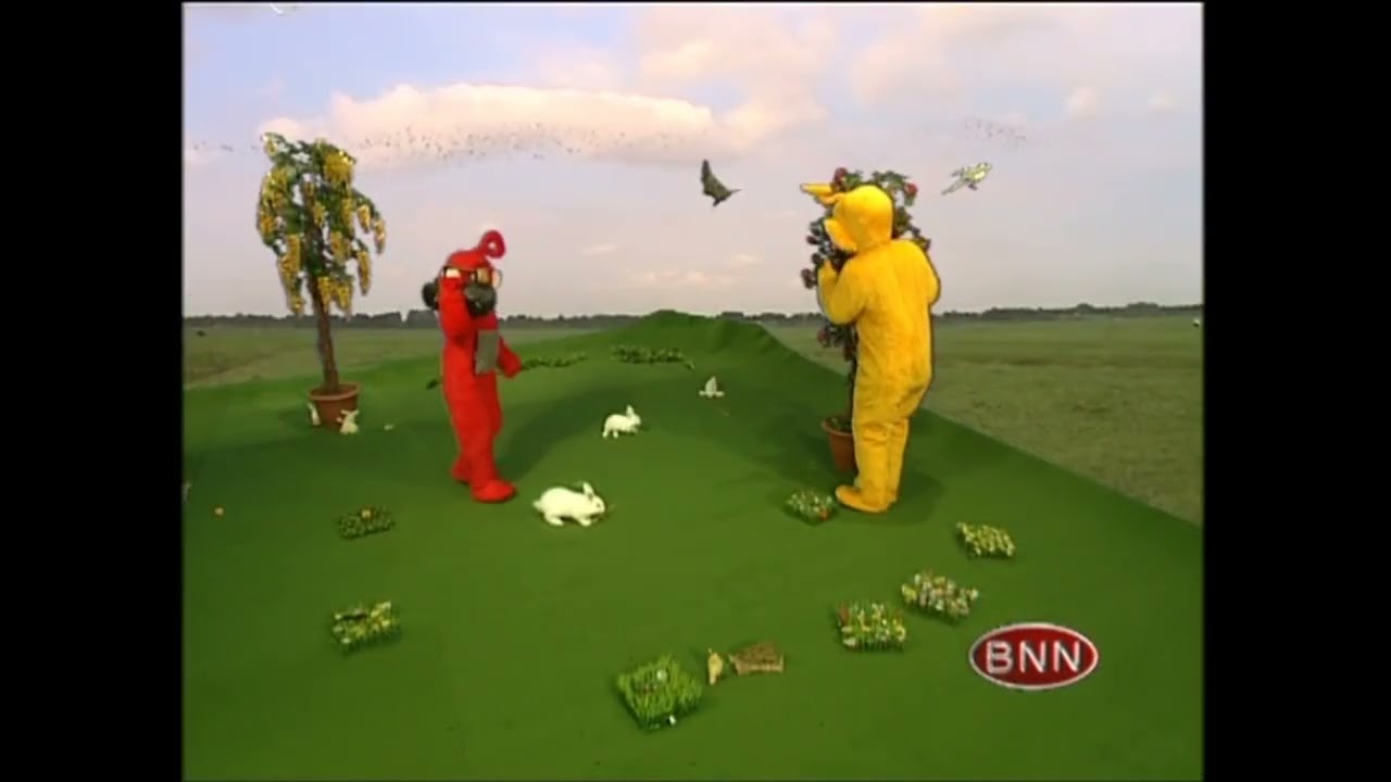 Bart de Graaf Teringtubbies