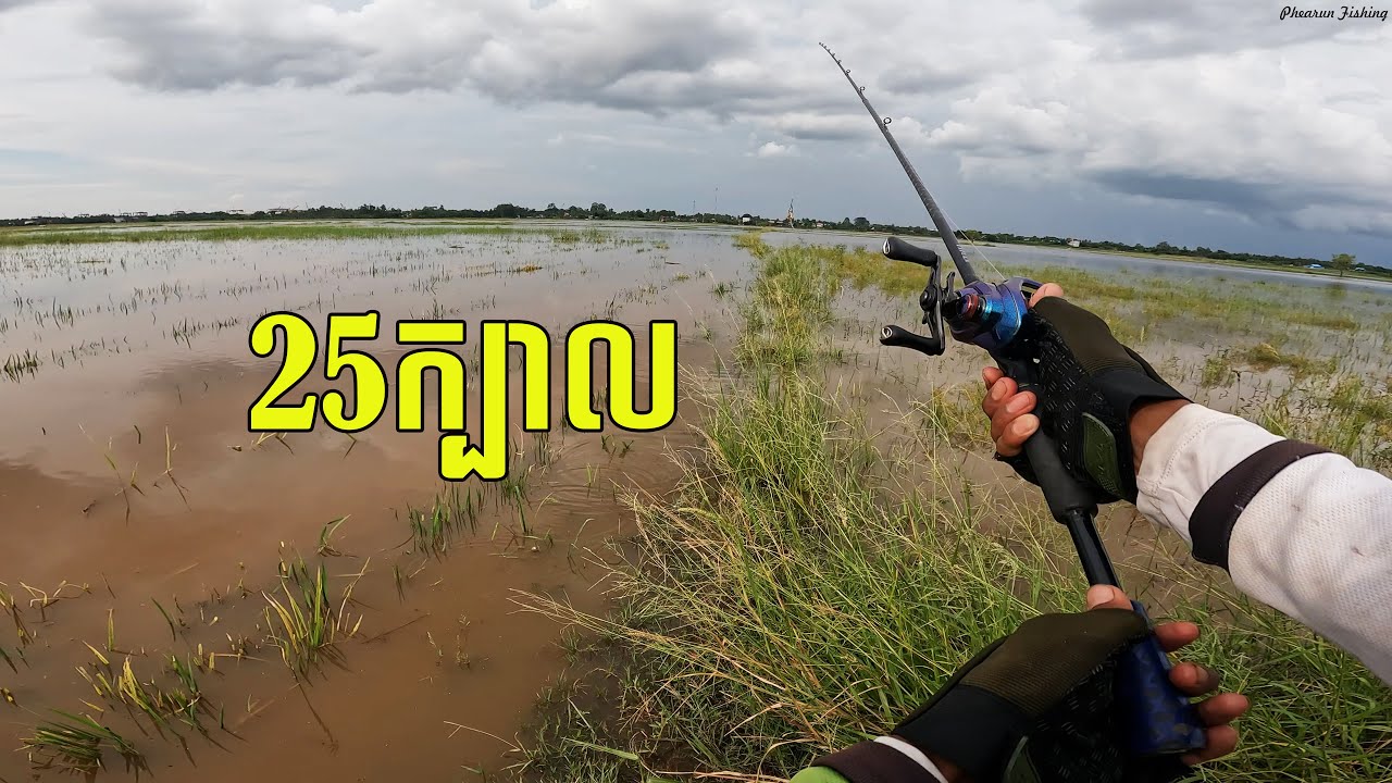 Cambodia Love Traditional Fishing | របៀបលេងត្រីស្រែអោយបានច្រើនៗ | វីឌីអូចែករំលែកទីតាំង