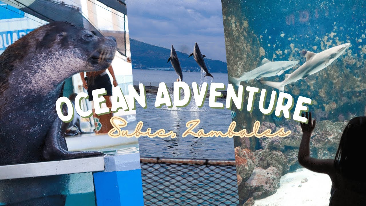Subic Bay 🇵🇭 Day 2 at Ocean Adventure Subic Bay & Travel tips with 2 kids