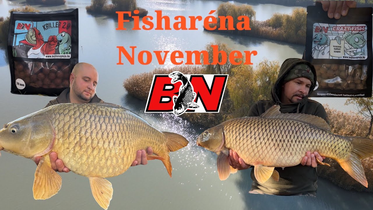 Bojlis Naplója 11. Rész (Fisharéna November 2024)