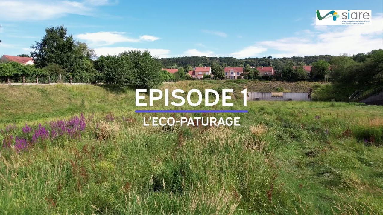 Bassins de rétention : les éco-spots du SIARE (épisode 1)