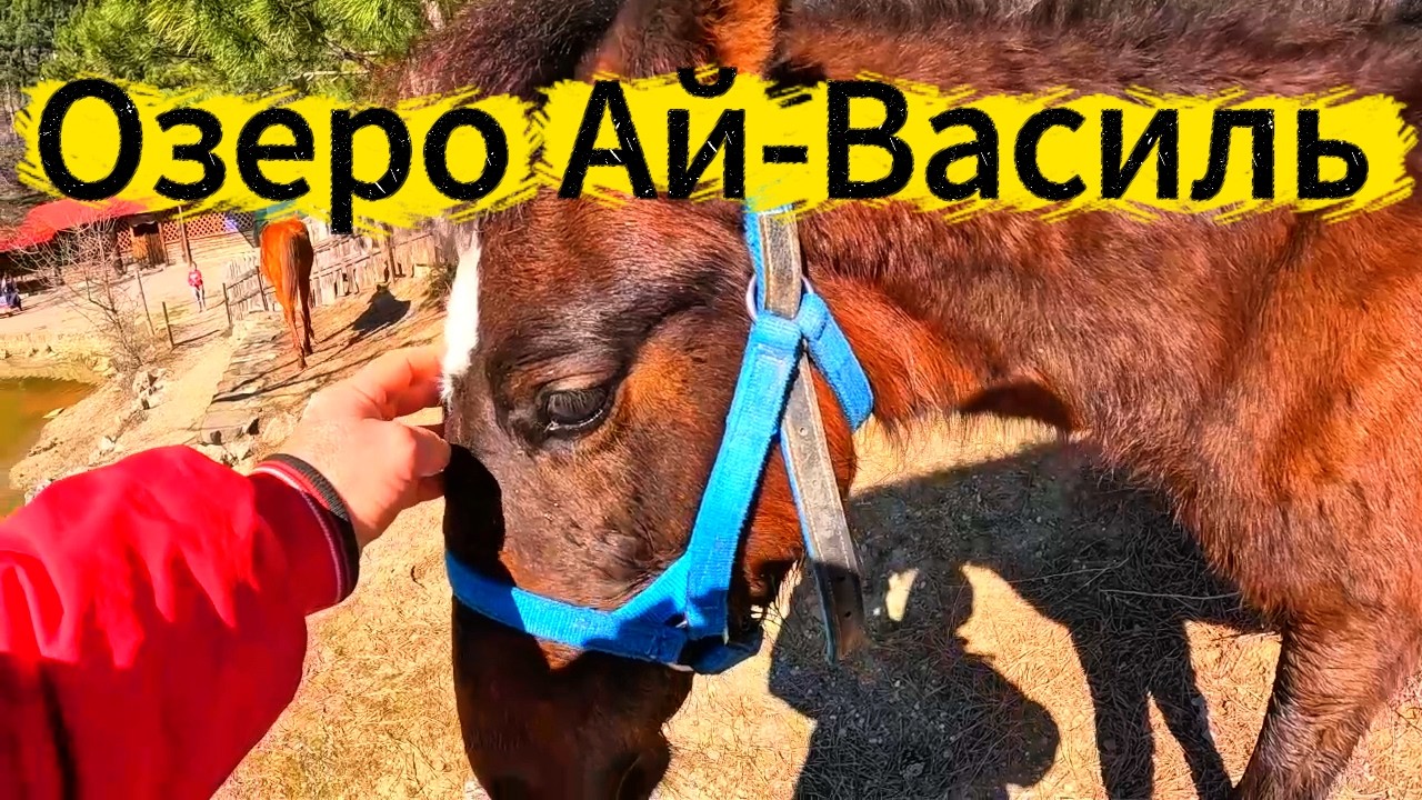 ▶️ КРЫМ / ОЗЕРО АЙ-ВАСИЛЬ / РЫБАЛКА / ОТДЫХ НА ПРУДУ / ЖИЗНЬ НА МОРЕ / ЯЛТА СЕГОДНЯ