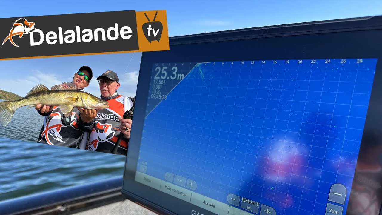 Une technique révolutionnaire 🎣 SharpShooting / Livescope 🎣 Pêche du Sandre en pélagique au Portugal