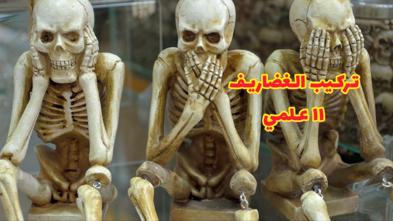 تركيب الغضاريف