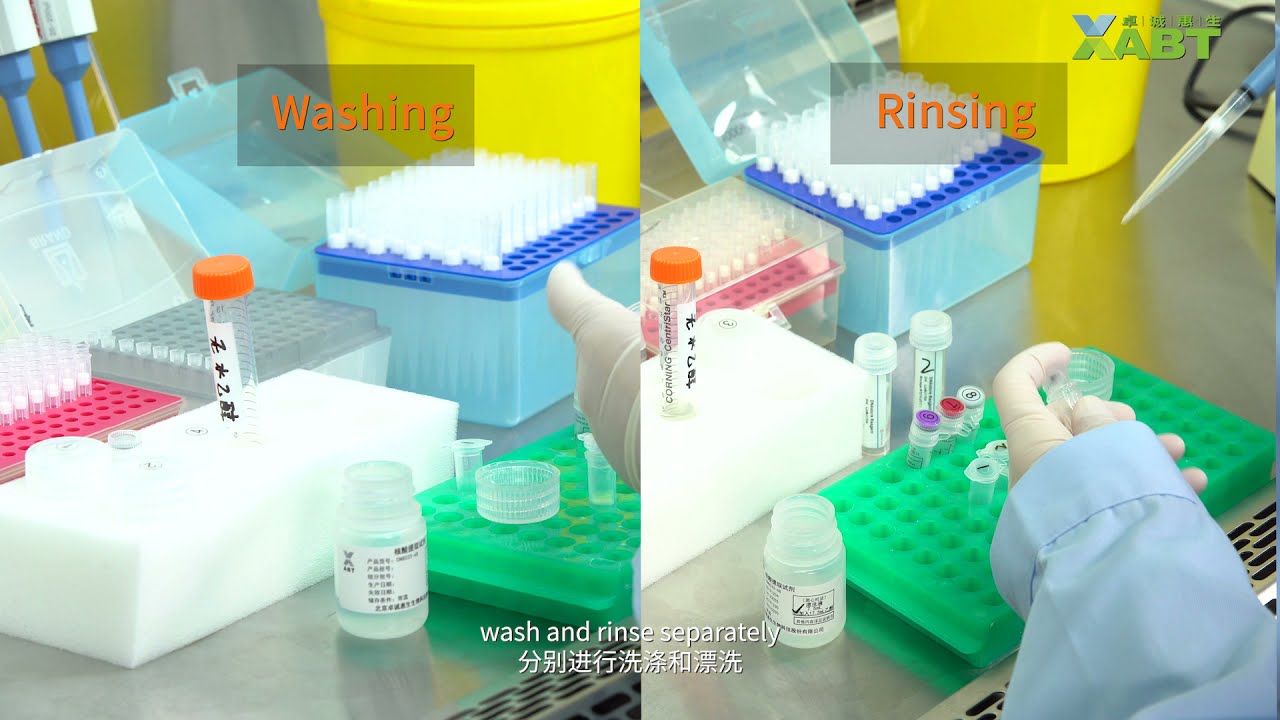 XABT Multiple Real-time PCR Kit for Detection of 2019-nCoV Operation Guide