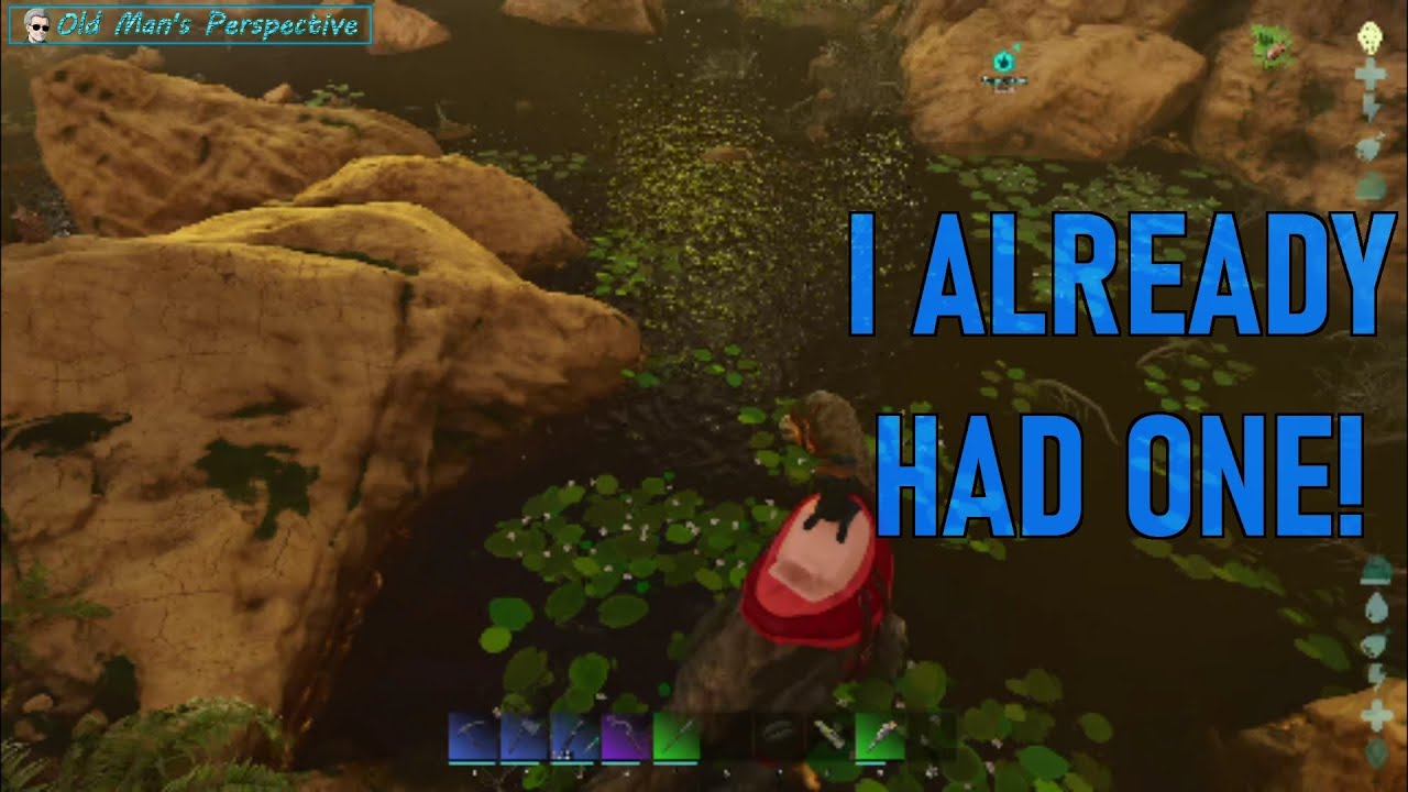I Already Had One?! Let the Chaos Begin - Ark Survival Ascended - The Island (EP211)
