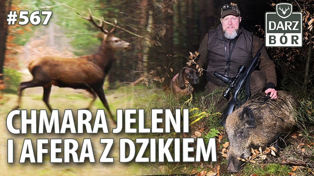 Darz Bór odc. 567 Co przyniesie Nowy ROK? Jelenie, Dziki i Afery nos.
