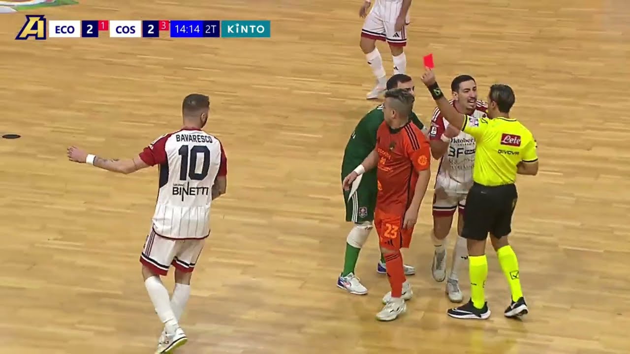 Alcune delle sviste arbitrali che hanno danneggiato la squadra rossoblù