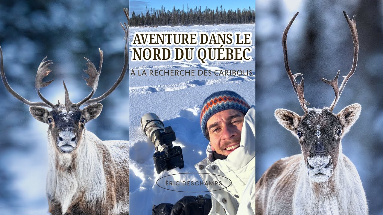 Aventure dans le nord du Québec en autonomie complète dans mon camper à la recherche des caribous 🏔️