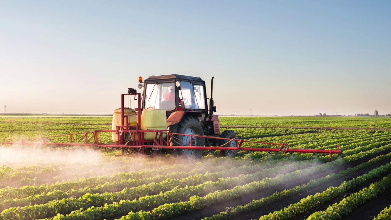Buying organic can reduce the pesticides you eat. Our nutritionist explains why.