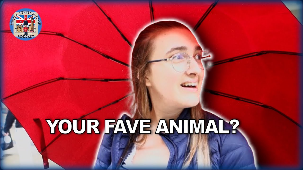 What's your favourite animal? English IELTS: Simply Street English