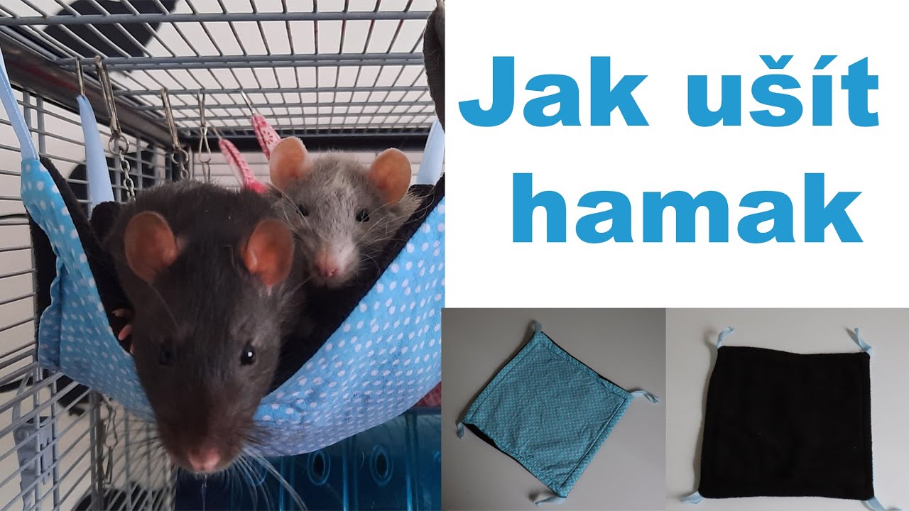 Jak ušít hamak pro hlodavce