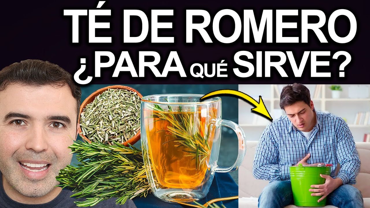 TE DE ROMERO TODOS LOA DIAS - Para Que Sirve, Como Usarlo Y Contraindicaciones