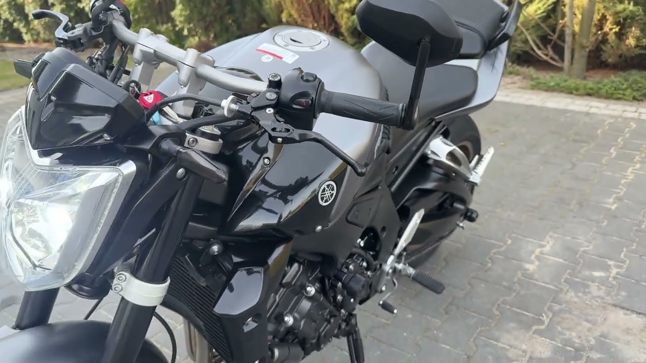 Yamaha FZ1/07r  rama
