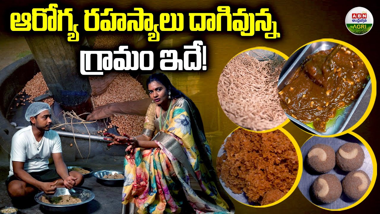 Ganuga Oil Making Process | Eatables Through Organic Farming | Vijayawada Mana Gramam Outlets | ABN