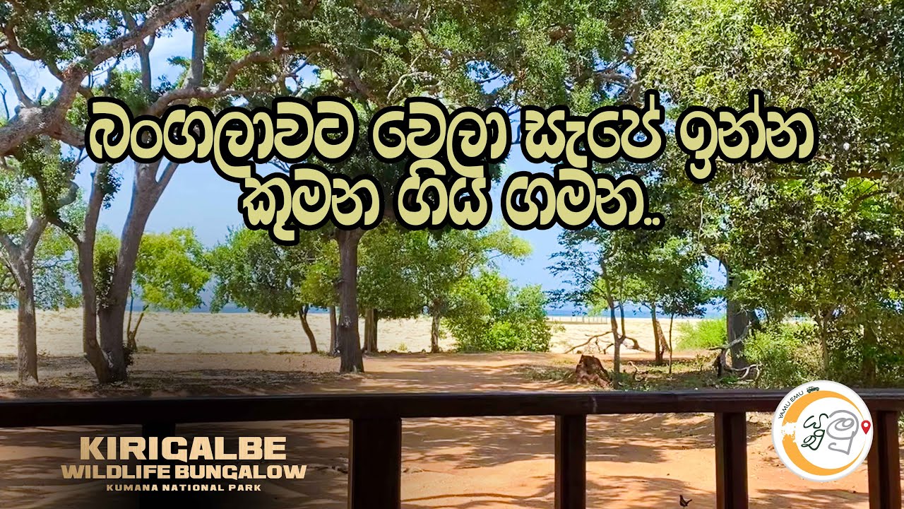 බංගලාවට වෙලා සැපේ ඉන්න කුමන ගිය ගමන..