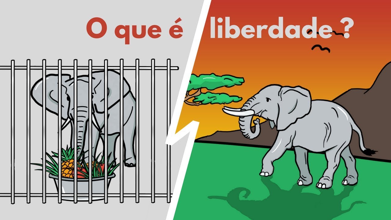 Como ser livre em um mundo sem liberdade? | O Evangelho em 6 minutos #liberdade #evangelho