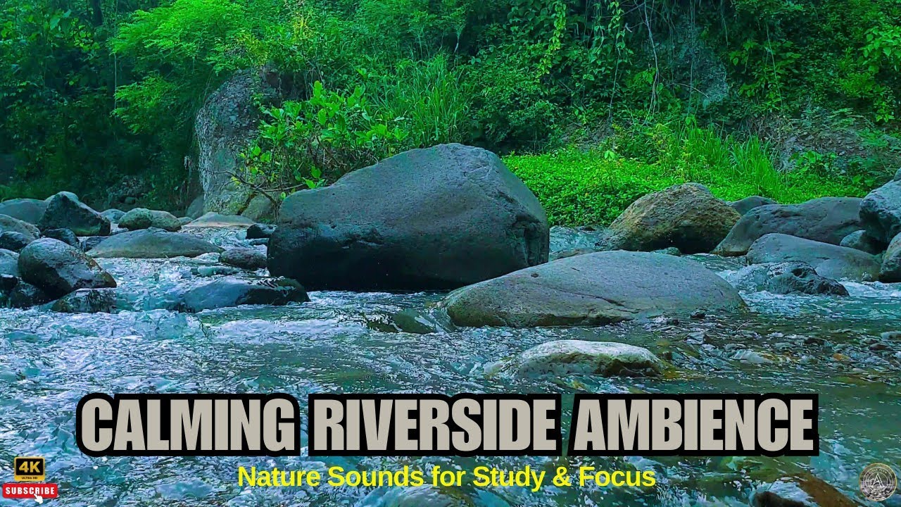 Calming Riverside Ambience | Nature Sounds for Study & Focus