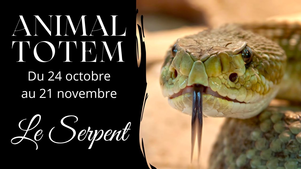 Animal Totem - Le Serpent - Du 24 Octobre au 21 Novembre - Astrologie amérindienne