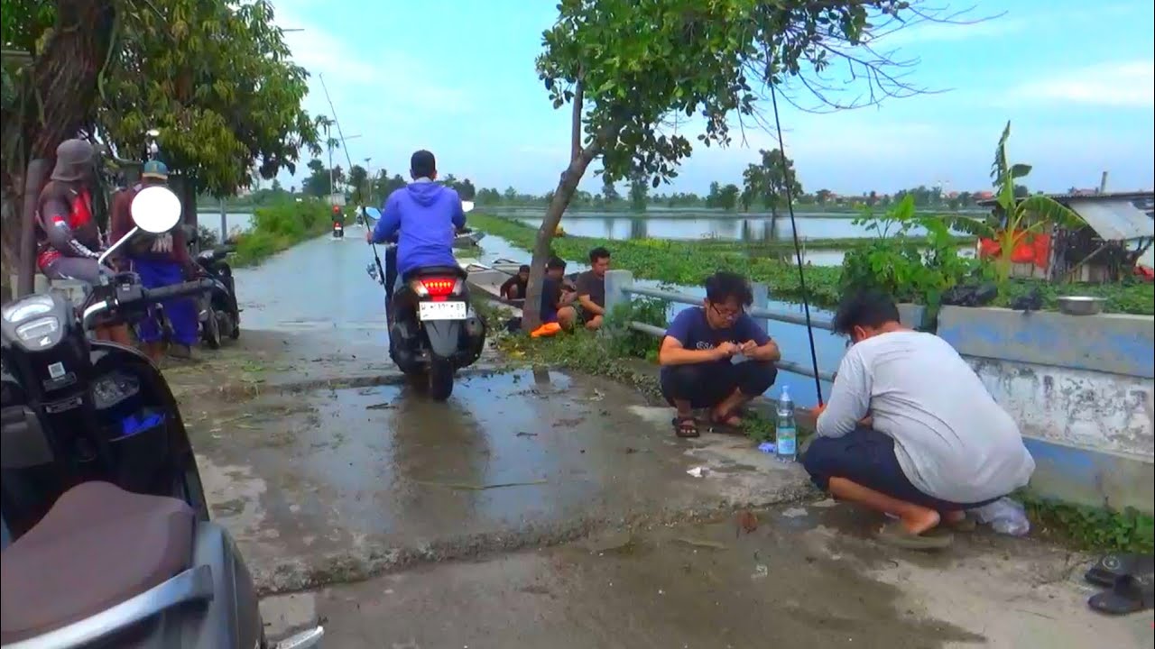 Edan...! Banjirnya makin parah yang mancing juga makin melimpah mancing di jembatan pinggir jalan