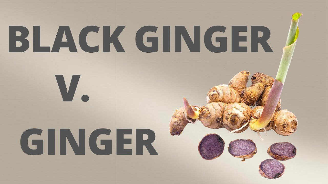 Black Ginger vs. Ginger - What's the difference?