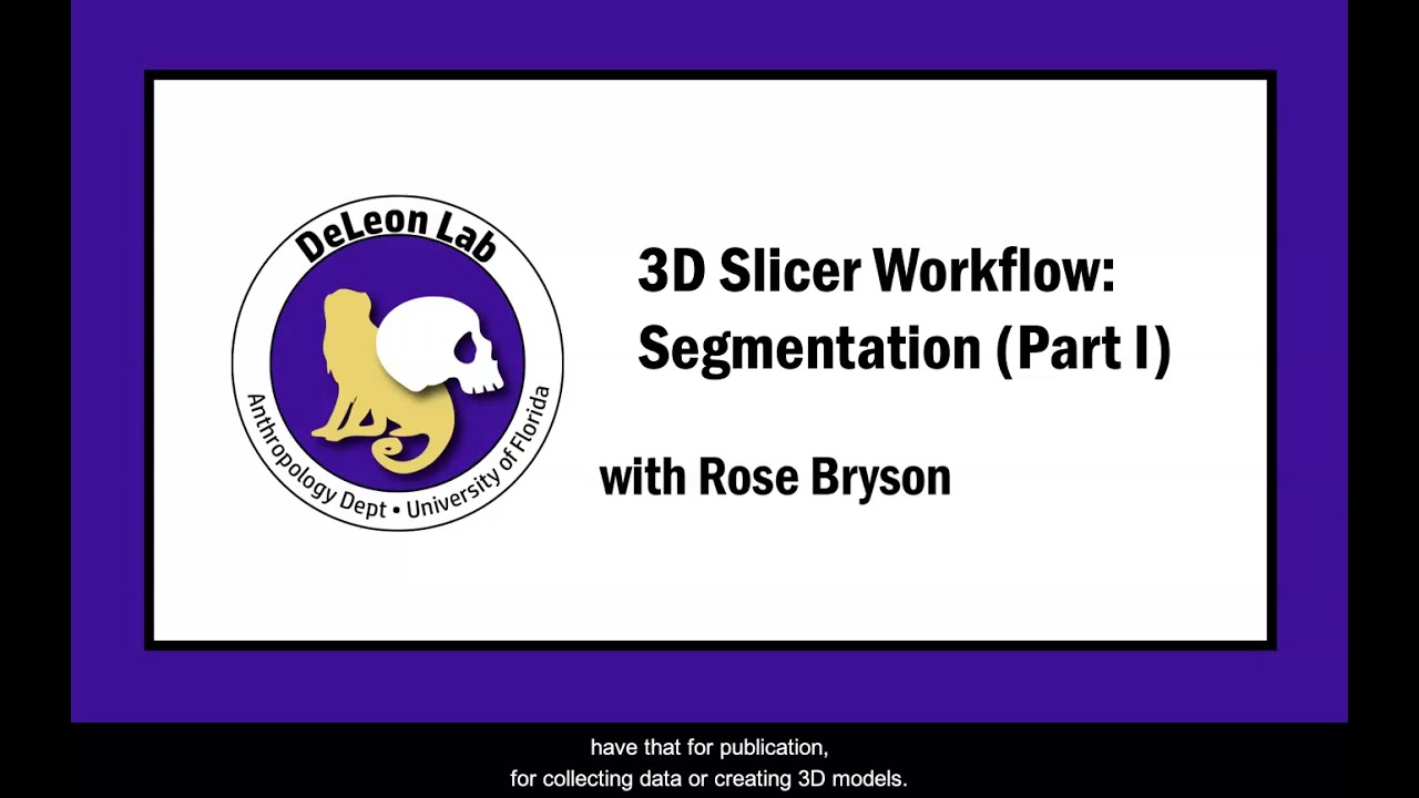 Basic Segmentation (Threshold, Scissors, Paint/Draw/Erase)    [3D Slicer Workflow]