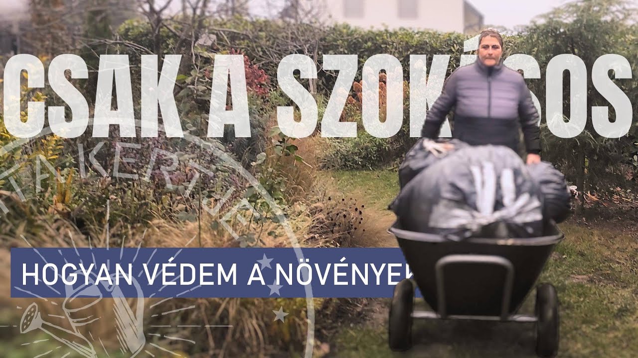 TIPPEK a t&eacute;li kert rendben tart&aacute;s&aacute;hoz &ndash; mulcsoz&aacute;s &eacute;s n&ouml;v&eacute;ny&aacute;pol&aacute;s 🌿