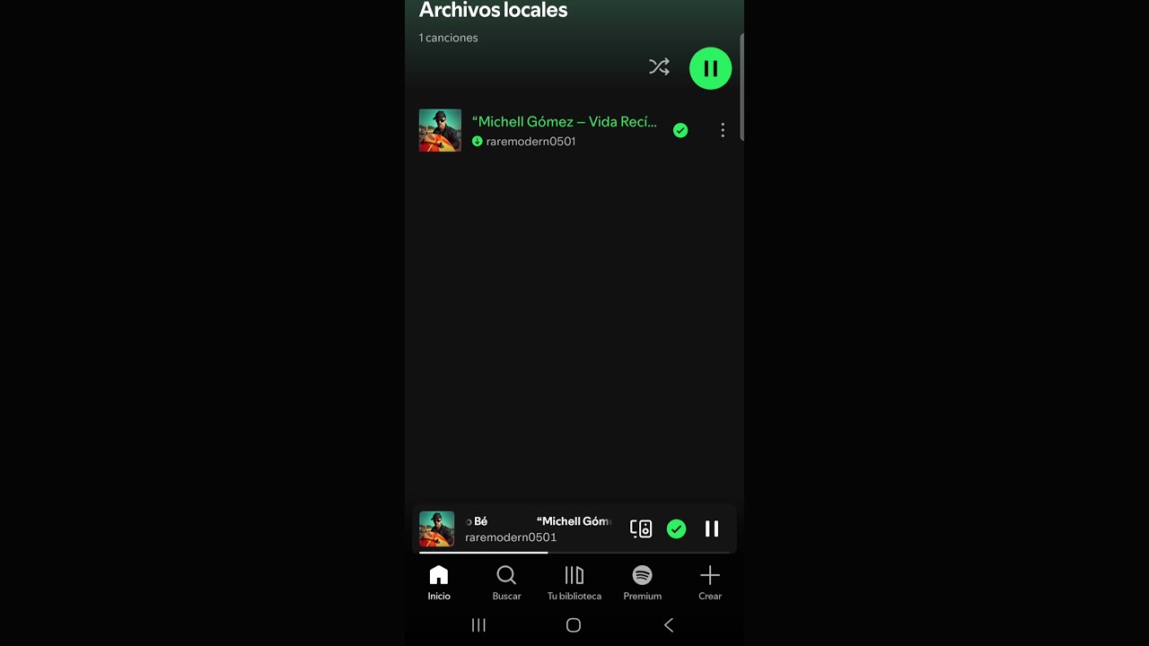 Michel Gomez, vida recia 