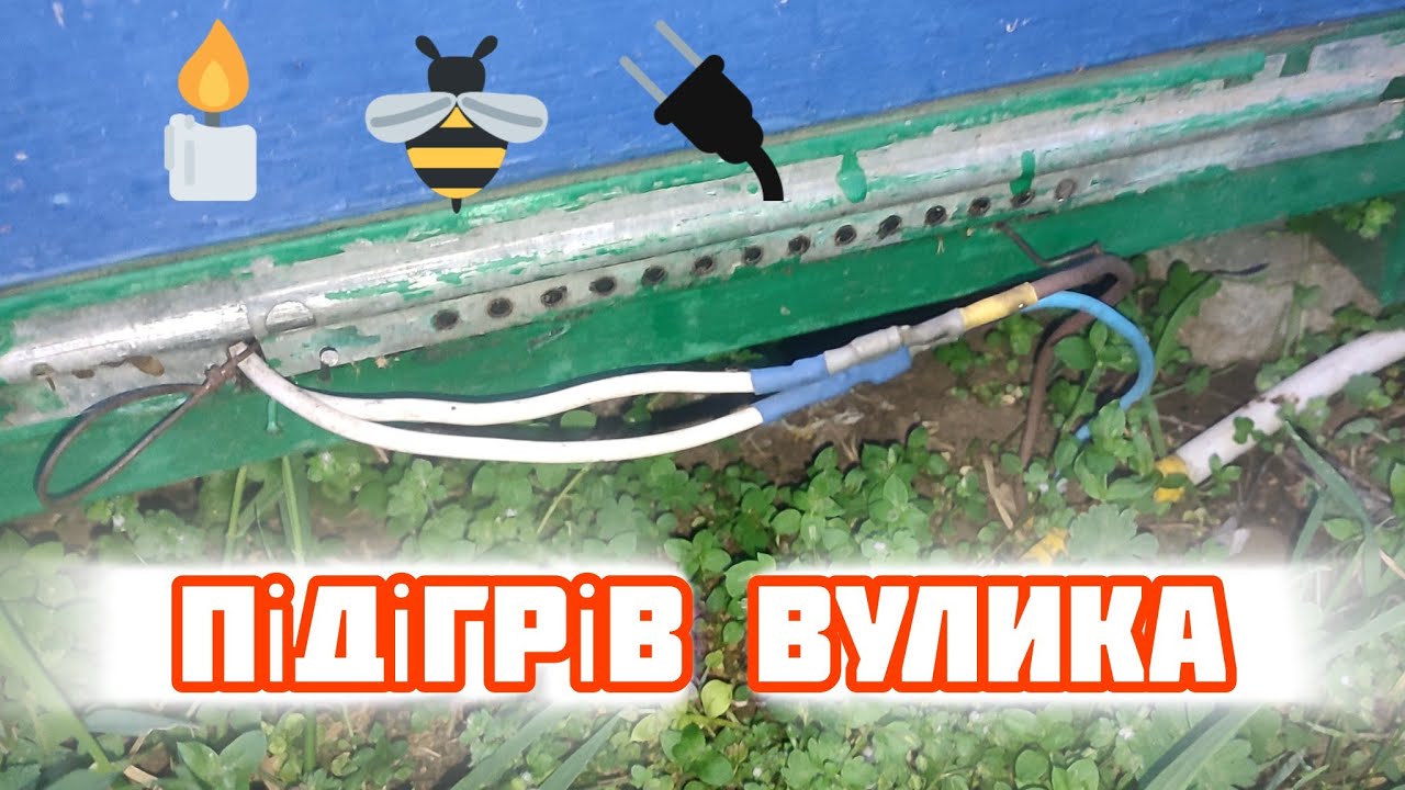 ✅Як Підігрів Вуликів Змінює Ефективність Бджільництва