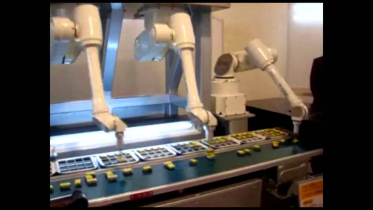 Hans Van Dyck - Industrial robot project