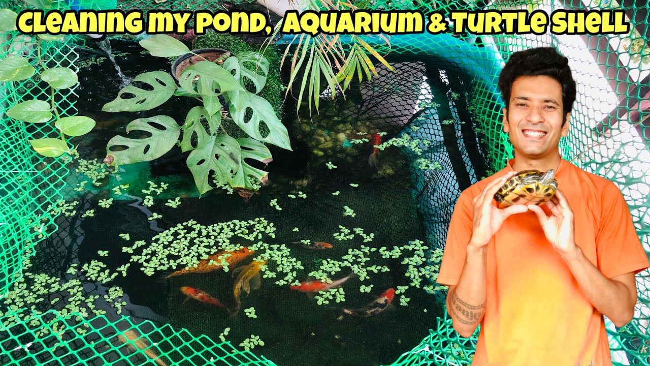 Cleaning Aquarium, Pond & Turtle | Indian Aqua Boy03 collection | Balcony Pond |Oscar Fish Aquarium