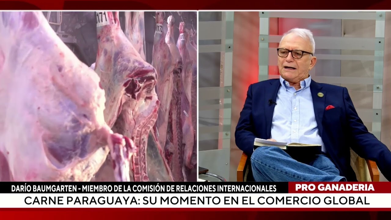 Carne paraguaya: su momento en el comercio global Parte - 2