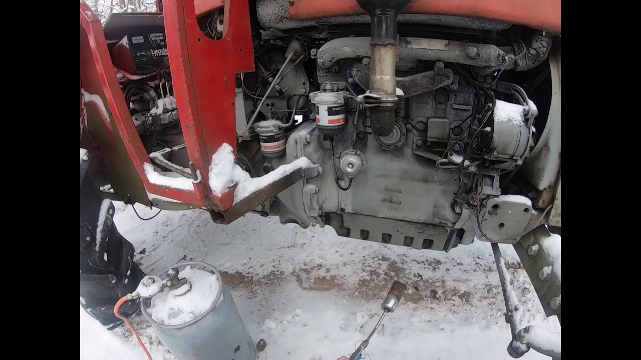 Massey ferguson 165 cold start and Bruno the Rottweiler