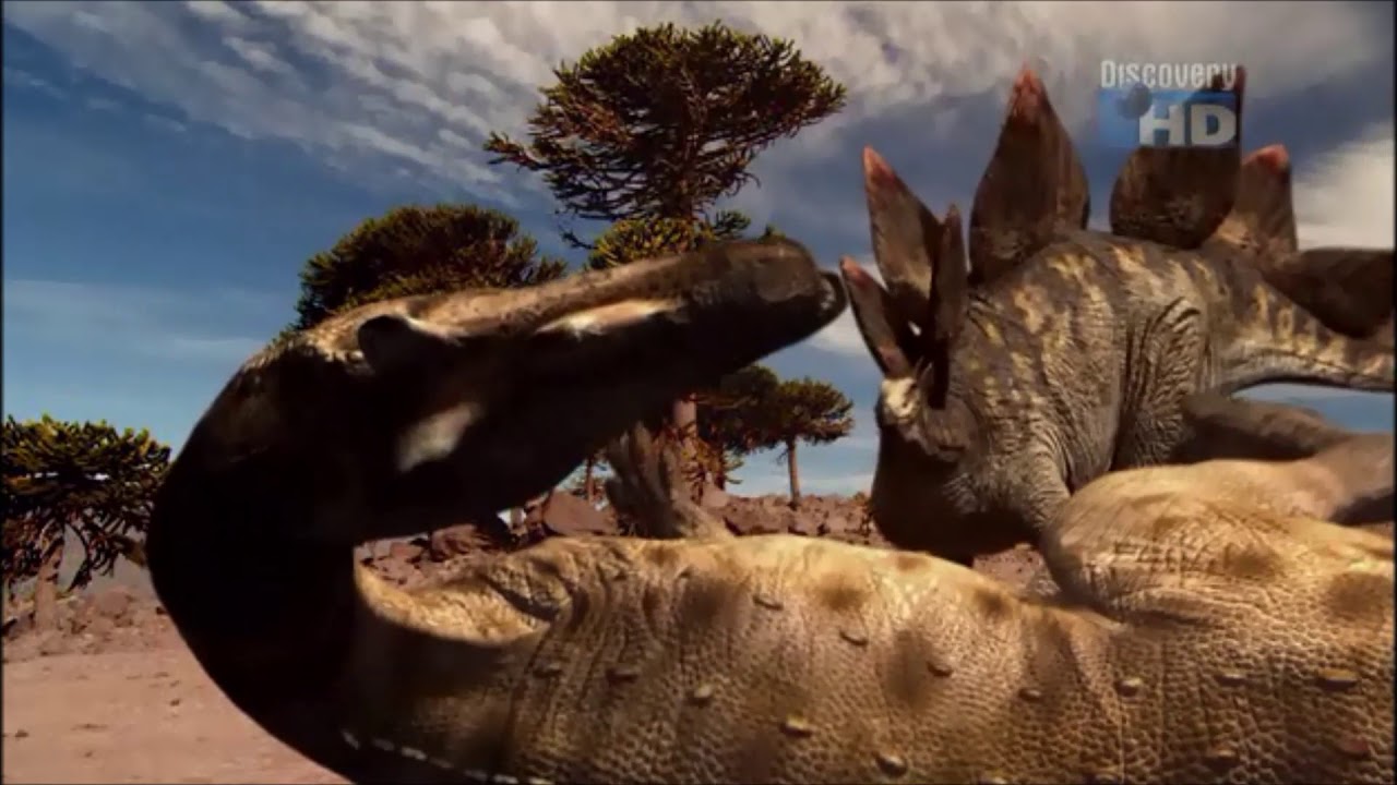 When Dinosaurs Roamed America - Stegosaurus stenops