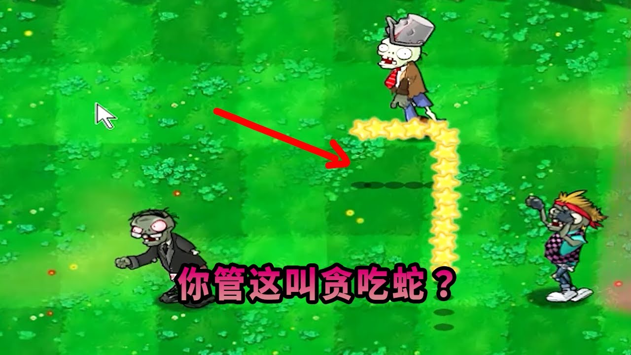 【植物大戰僵尸】你管這叫貪吃蛇？