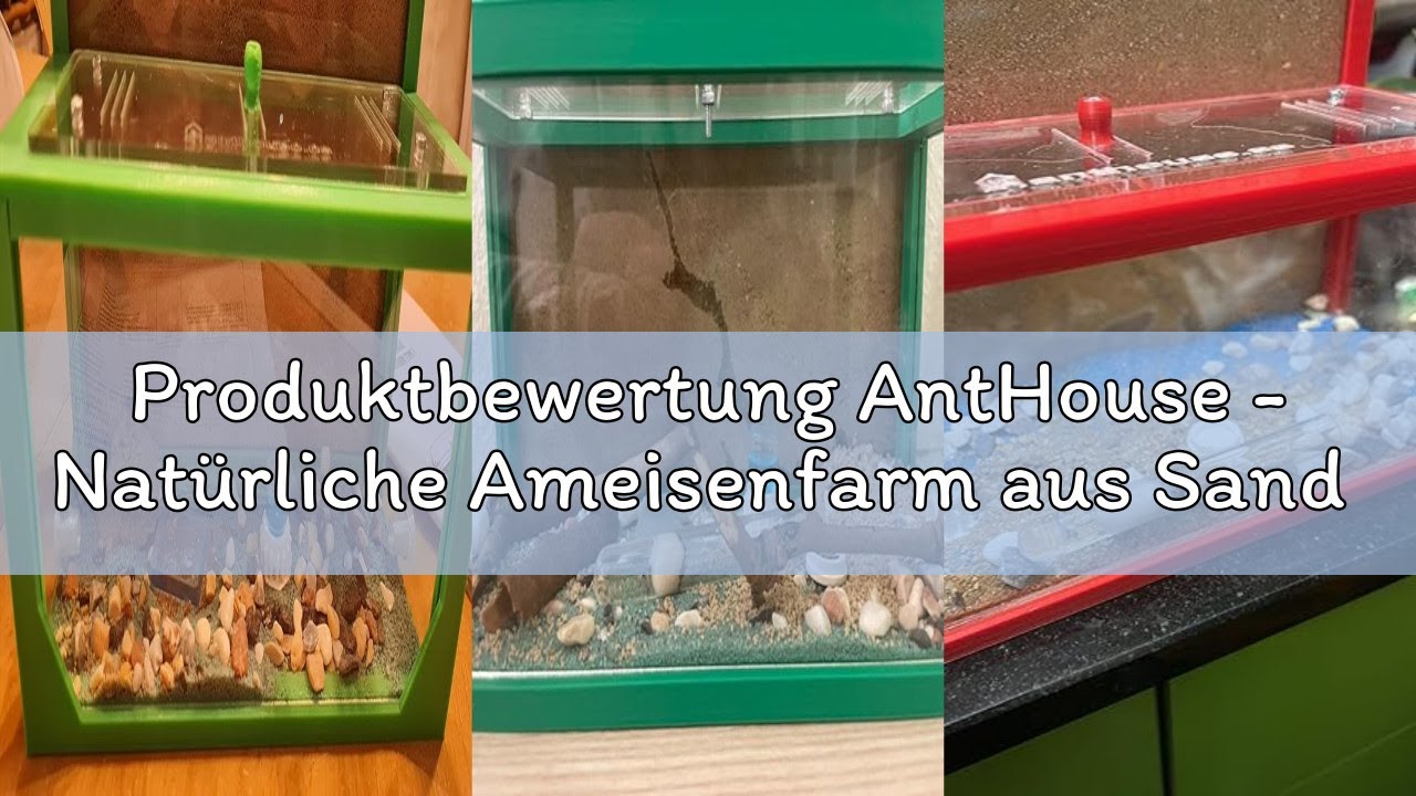 Produktbewertung AntHouse - Natürliche Ameisenfarm aus Sand 3D | Modell L (Sandwich + Futterbox) Rot