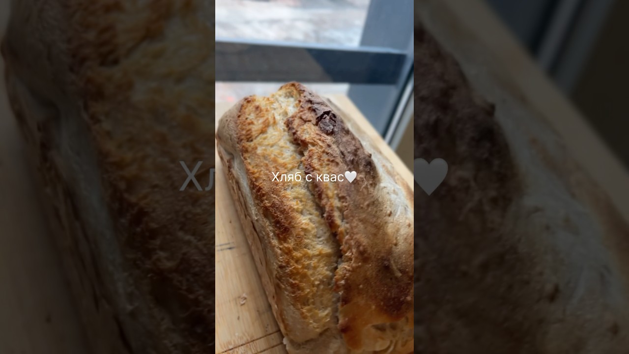 Квас за хляб в продажба в България и Европа #sourdough #квас #хлябсквас #хляб #bulgaria #bread