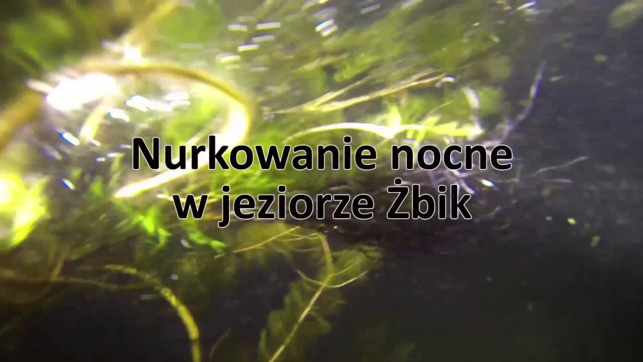 Nurkowanie nocne w jeziorze Żbik Tyrsko