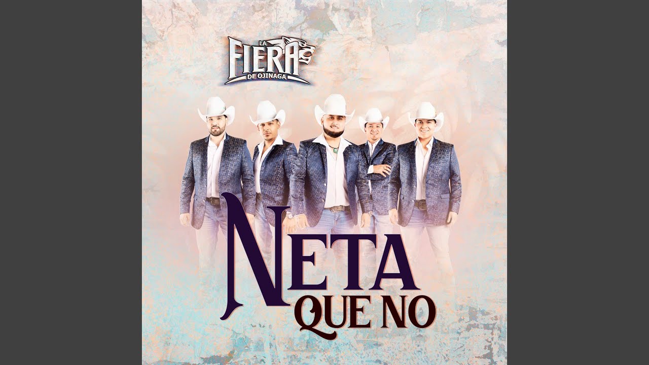 Neta Que No