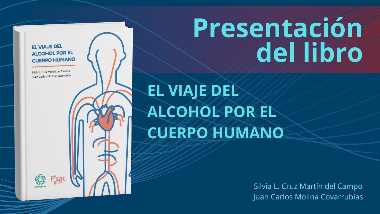 El viaje del alcohol por el cuerpo humano