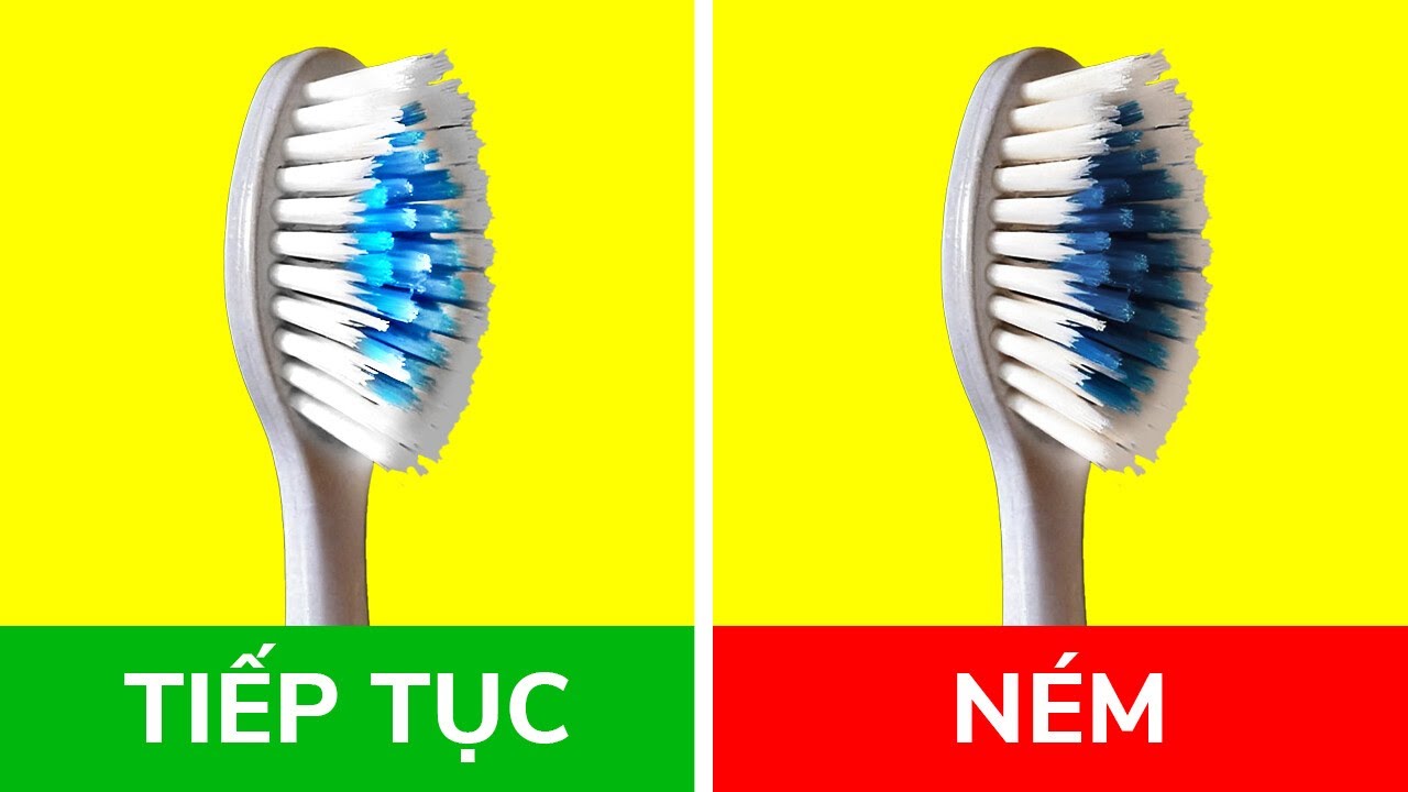 Cuộc sống bí mật của những thứ bình thường bạn sử dụng hàng ngày