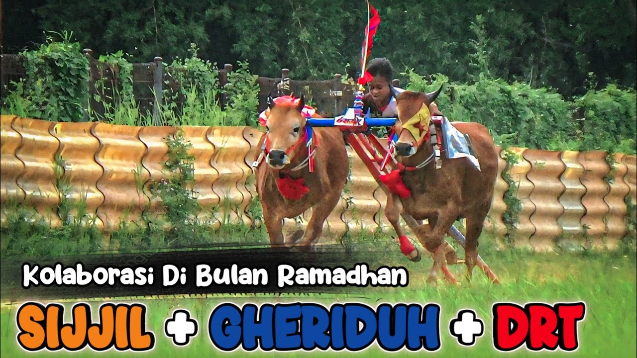 Spesial Latihan Karapan Sapi Di Bulan Ramadhan ( SIJJIL x GHERIDUH ) - DRT & KAWAN-KAWAN
