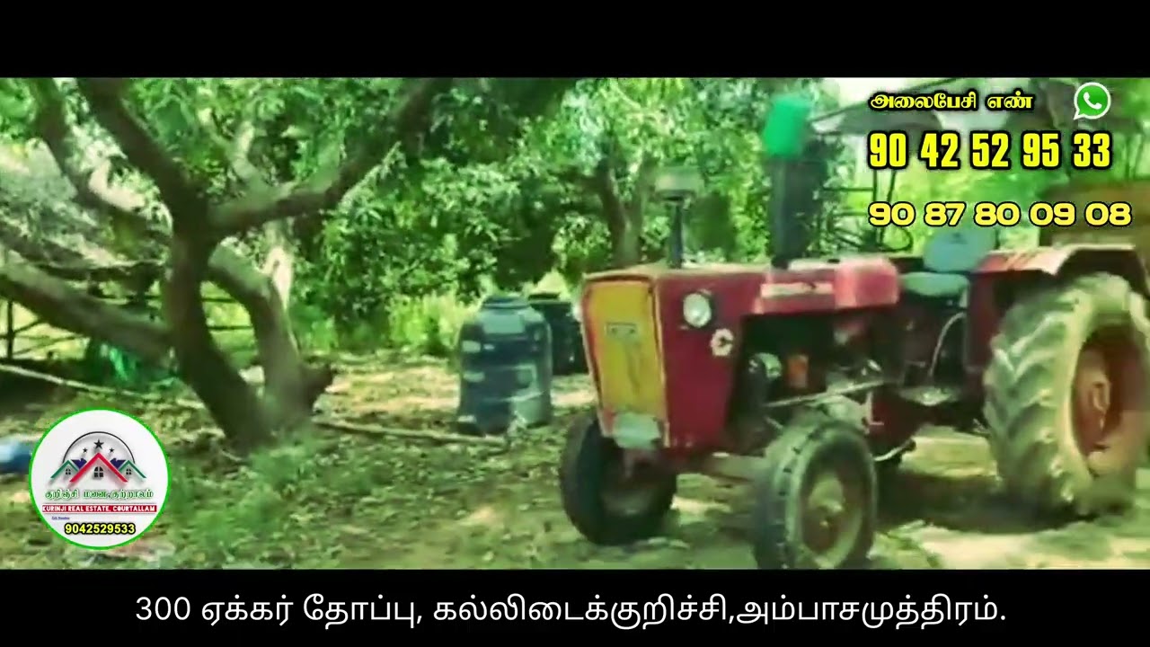 மணிமுத்தாறு நீர்த்தேக்கம் அருகில் 300 ஏக்கர் தென்னை, மாமரம் உள்பட பலவகை மரங்கள் அடங்கிய தோப்பு.