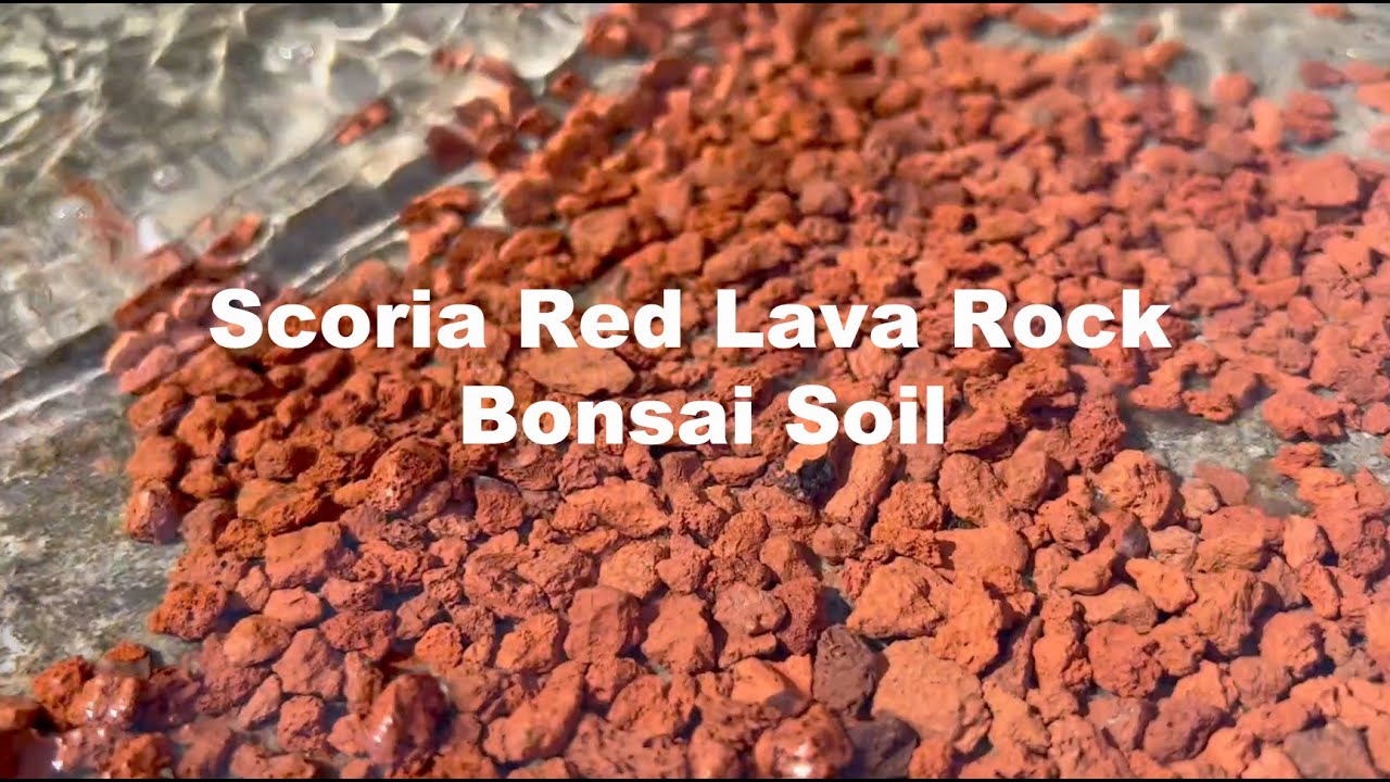 Scoria Red Lava Rock | Bonsai Soil