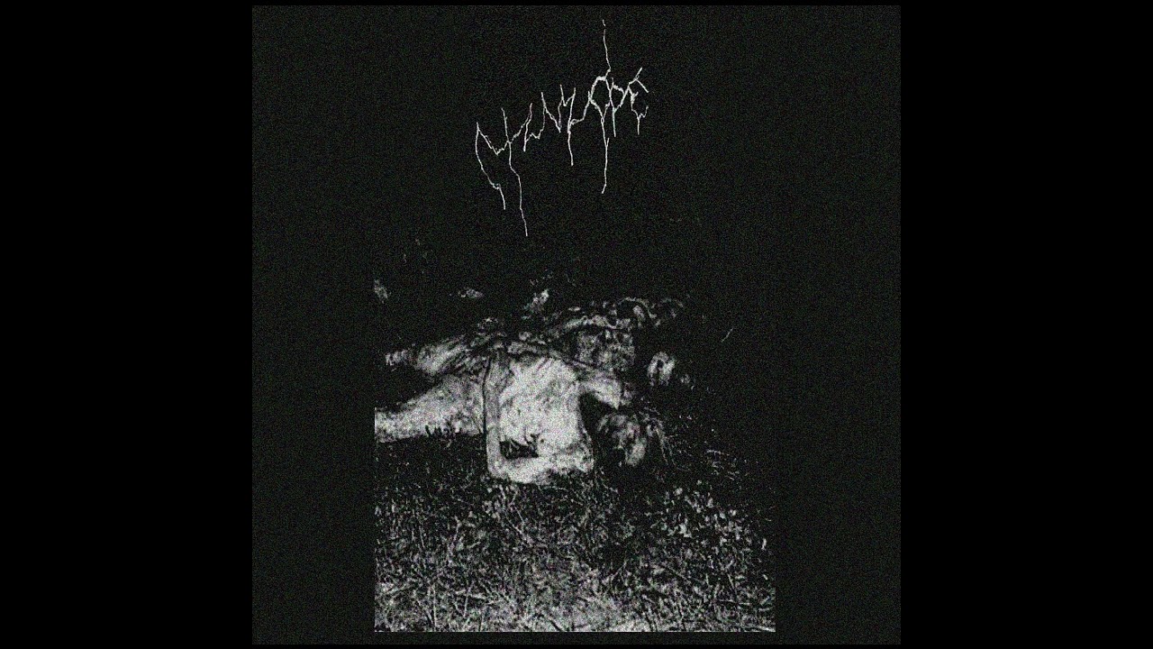 Ctenizidae - Endless Decay in Putrescent Void (2019)