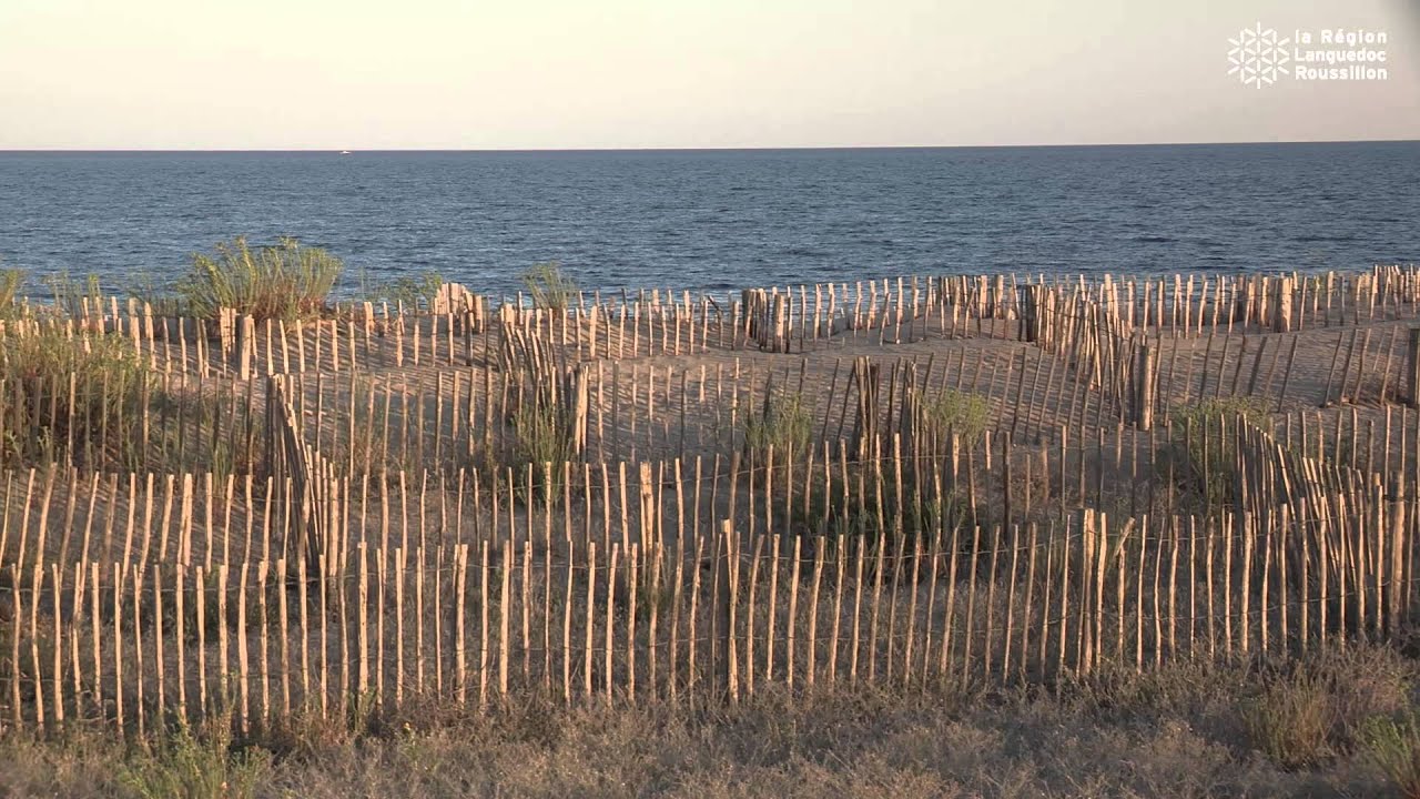 Aménagement du littoral : préserver la richesse naturelle