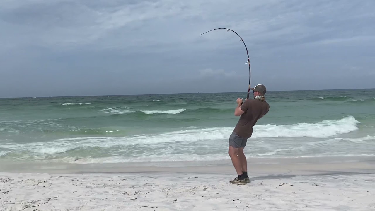 Hooking a shark at St Andrews State Park, FL 2021