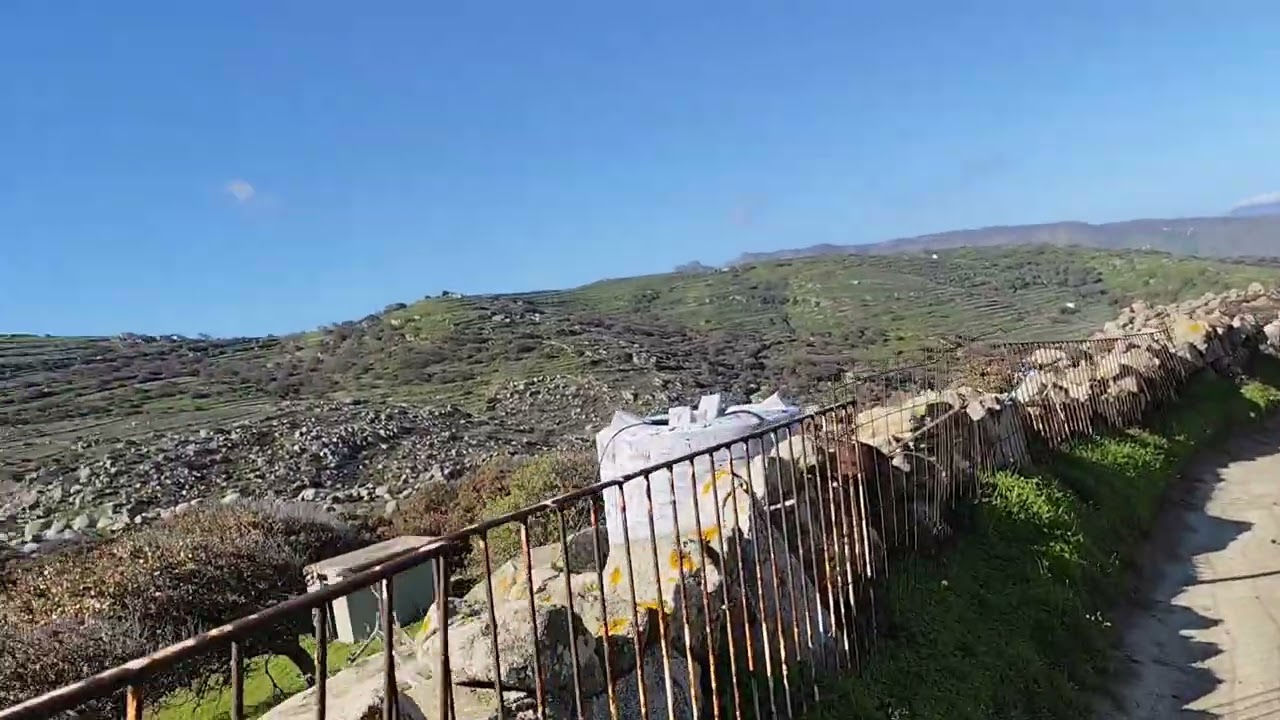 Βλάκας Τηνου