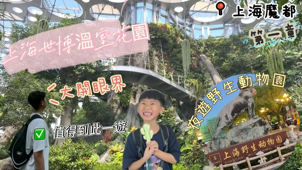 [肥嘟嘟Kyson]漫遊魔都：上海_第一集_Ep.1|上海小籠包😚|朶雲書店-被迫消費💸💨觀看黃浦江😱|上海世博温室花園-入仙境🤯|夜遊野生動園-直闖猛獸區域😈|美味老上海晚餐？！👍