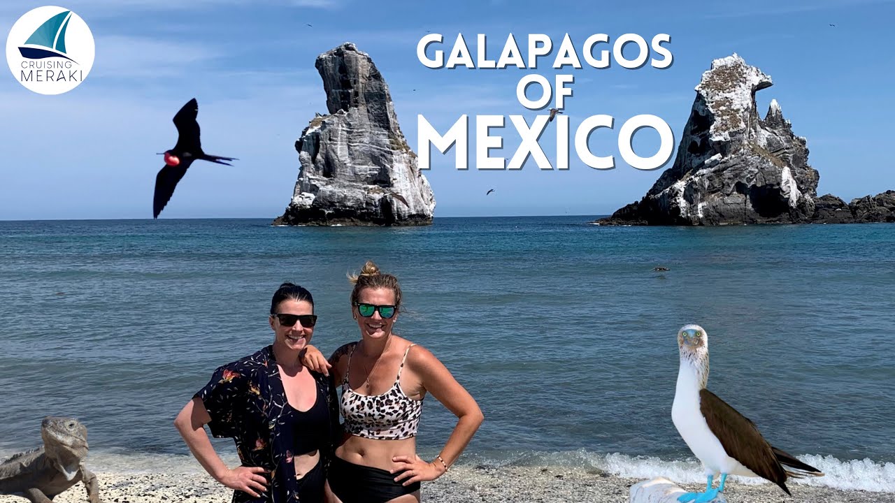 BOOBIES in the Galapagos of Mexico | Isla Isabel, Mexico | Ep 63